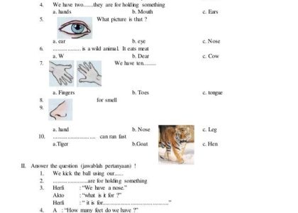 10 Rahasia Belajar Cepat Lewat 65 Contoh Soal Essay Bahasa Inggris Kelas 3 SD Terbaru
