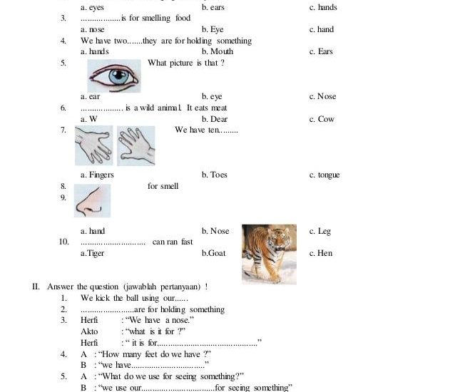 10 Rahasia Belajar Cepat Lewat 65 Contoh Soal Essay Bahasa Inggris Kelas 3 SD Terbaru