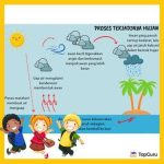 5 Contoh Soal Essay Proses Terjadinya Hujan Kelas 3 SD yang Sering Keluar Saat Ujian