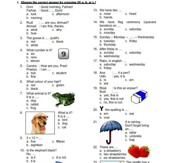 5 Fakta Mengejutkan Materi Soal Bahasa Inggris Kelas 3 SD Semester 1 yang Wajib Tahu Orang Tua