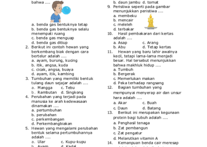 7 Fakta Mengejutkan dari Kunci Jawaban Soal Sains Kelas 3 SD yang Ternyata Sama dengan Pelajaran Kelas 6
