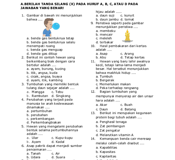 7 Fakta Mengejutkan dari Kunci Jawaban Soal Sains Kelas 3 SD yang Ternyata Sama dengan Pelajaran Kelas 6