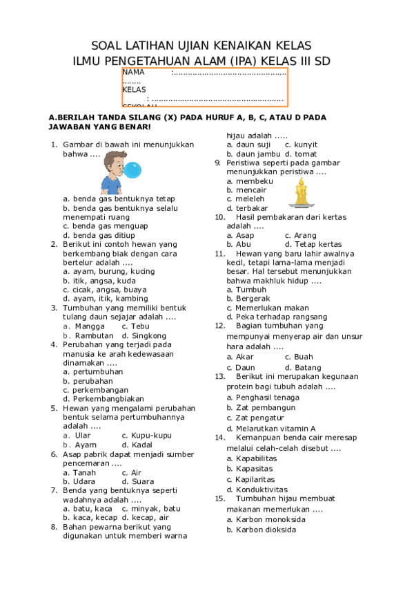 7 Fakta Mengejutkan dari Kunci Jawaban Soal Sains Kelas 3 SD yang Ternyata Sama dengan Pelajaran Kelas 6