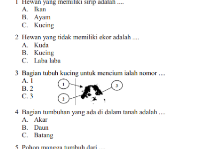 Inilah 7 Contoh Soal Ulangan Tema 1-4 Tematik K13 Kelas II yang Wajib Dikuasai Siswa