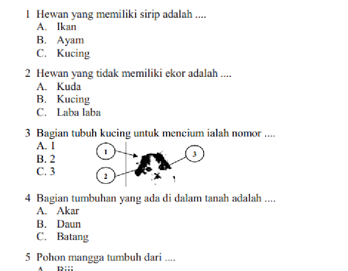 Inilah 7 Contoh Soal Ulangan Tema 1-4 Tematik K13 Kelas II yang Wajib Dikuasai Siswa