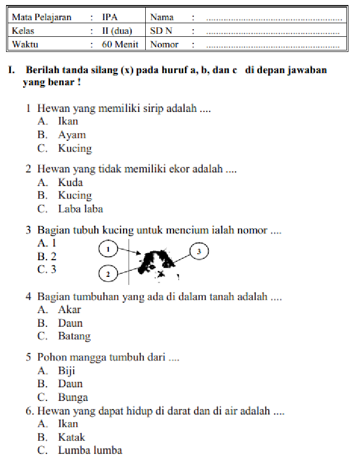 Inilah 7 Contoh Soal Ulangan Tema 1-4 Tematik K13 Kelas II yang Wajib Dikuasai Siswa