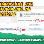 Wajib Tahu 3 Fakta Mengejutkan Kenapa File Word Semua Berubah Jadi Zip di 2026