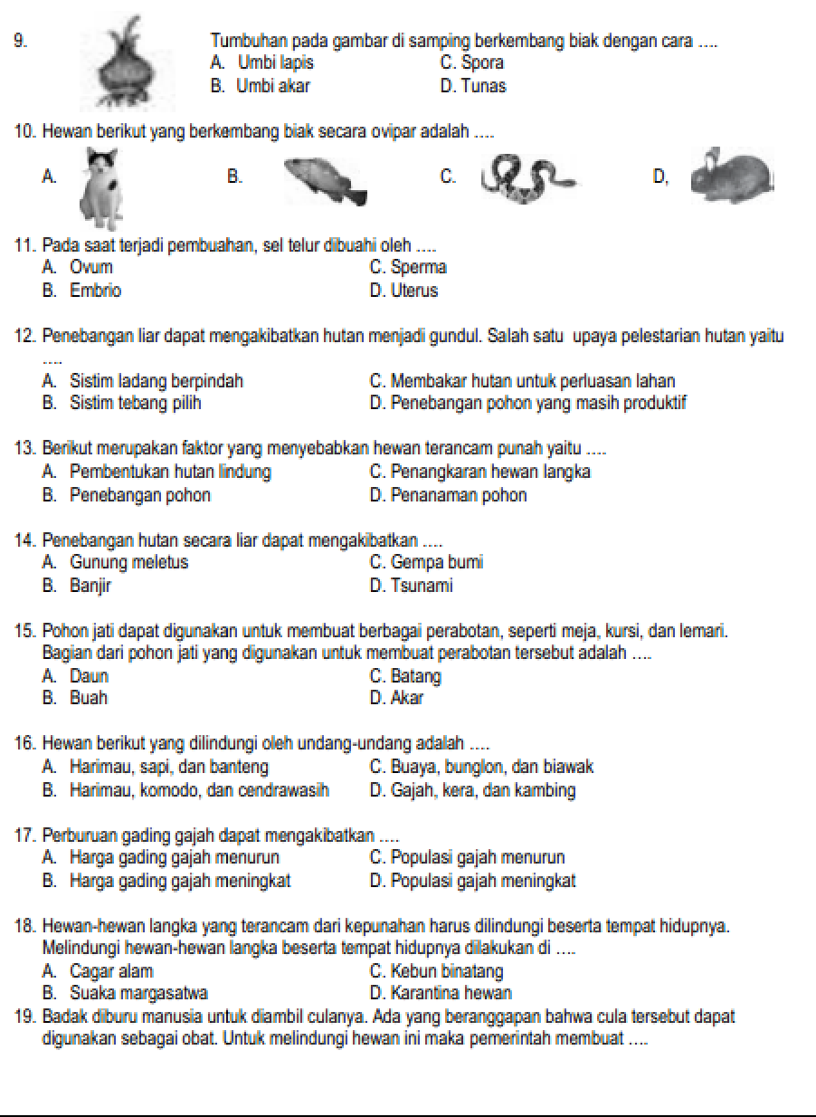 7 Rahasia Contoh Soal IPA Kelas 6 Tema 2 yang Wajib Tahu Sebelum Ujian Nasional 2026