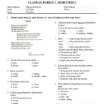 Contoh Soal Ulangan Kelas 1 Tema 4 Ternyata Bisa Seperti Ini, Wajib Tahu Sebelum Terlambat!