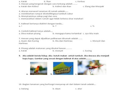 Wajib Tahu Sebelum Ulangan: Kumpulan Contoh Soal Ulangan Kelas 1 Tema 7 Subtema 4 Siap Cetak