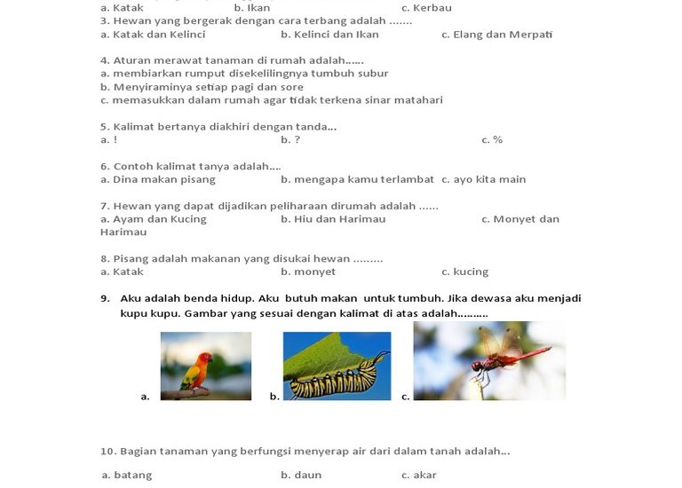 Wajib Tahu Sebelum Ulangan: Kumpulan Contoh Soal Ulangan Kelas 1 Tema 7 Subtema 4 Siap Cetak