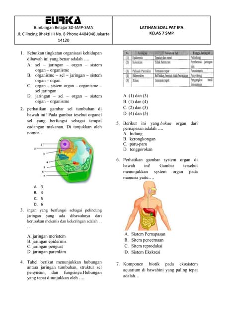 Terbukti! 15 Contoh Soal IPA Kelas 7 Semester 2 Biologi yang Bikin Nilai Naik Sekarang
