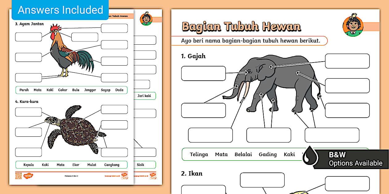 Latihan Seru! 10 Contoh Soal IPA Kelas 2 Tentang Bagian-Bagian Tubuh Hewan Terbaru